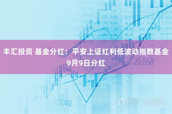 丰汇投资 基金分红：平安上证红利低波动指数基金9月9日分红
