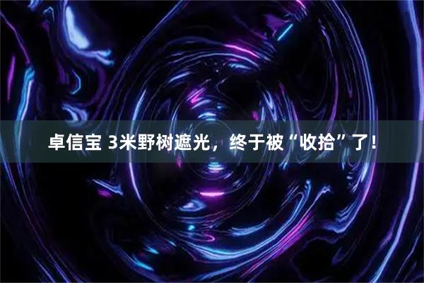 卓信宝 3米野树遮光，终于被“收拾”了！